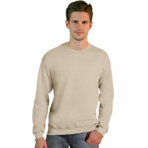 Adult sweatshirt