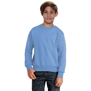 Toddler Fleece Sweatshirt-Carolina Blue-4y